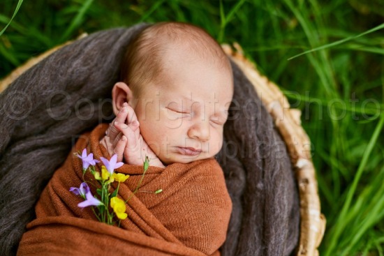 Babyfotoshooting Ermlich