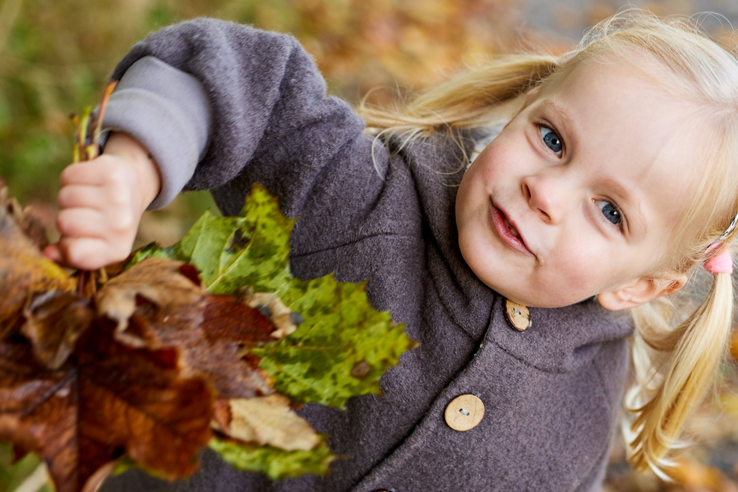 HERBST-MINI-SHOOTINGS 2026  | 241015-038b.jpg
